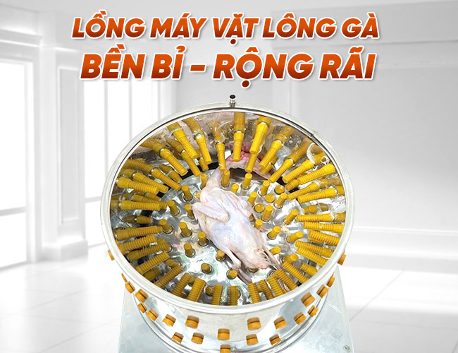 lồng máy vặt lông gà