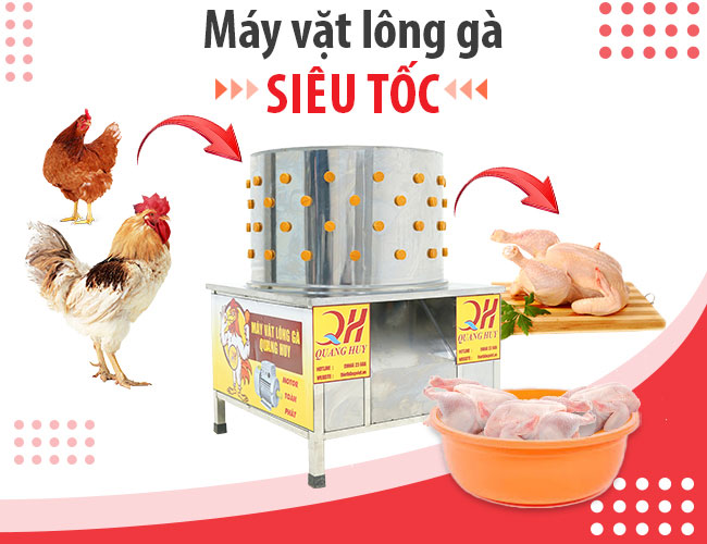 máy vặt lông gà chuyên dụng