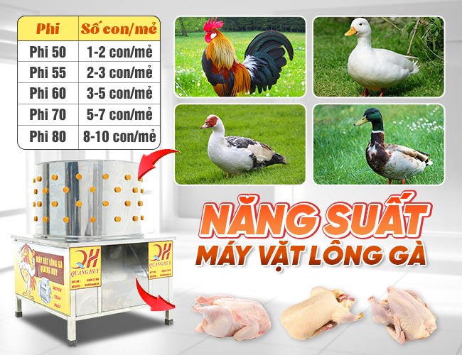 máy vặt lông gà năng suất cao