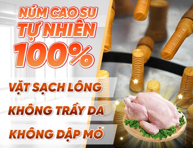 núm cao su máy nhổ lông gà