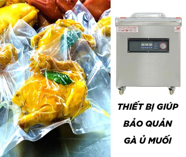 Thiết bị bảo quản gà ủ muối